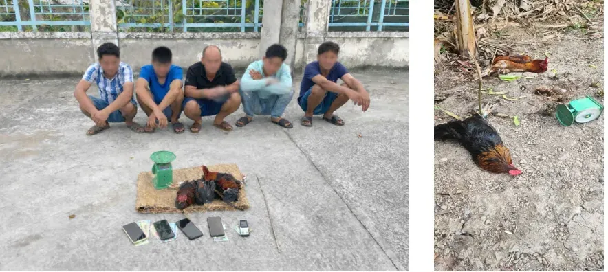 Triệt xóa 5 tụ điểm cờ bạc tại phường Long Bình, phát hiện 24 đối tượng, thu giữ hơn 15 triệu đồng- Ảnh 1. Triệt xóa 5 tụ điểm cờ bạc tại phường Long Bình, phát hiện 24 đối tượng, thu giữ hơn 15 triệu đồng- Ảnh 1.