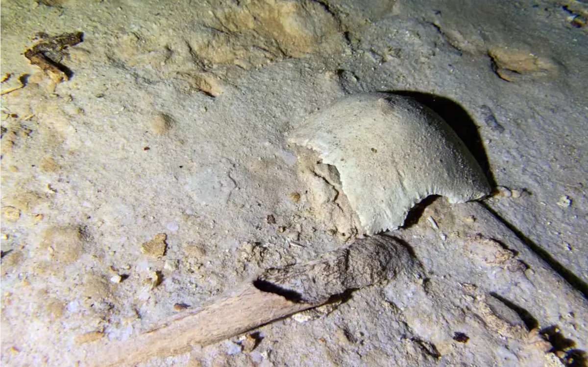 (Ảnh tư liệu minh họa: AP)