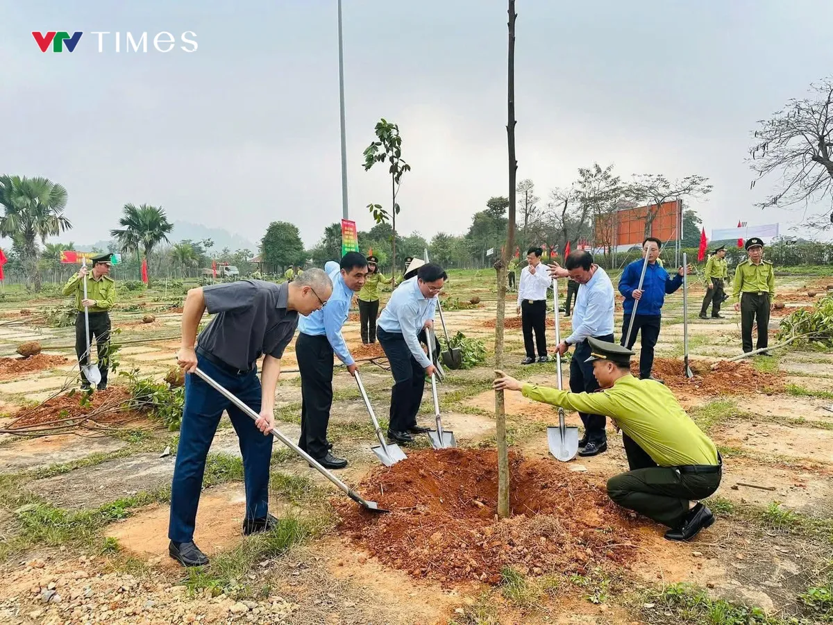 Phú Thọ: Phát động tết trồng cây đời đời nhớ ơn Bác Hồ tại Đền Hùng - Ảnh 1.