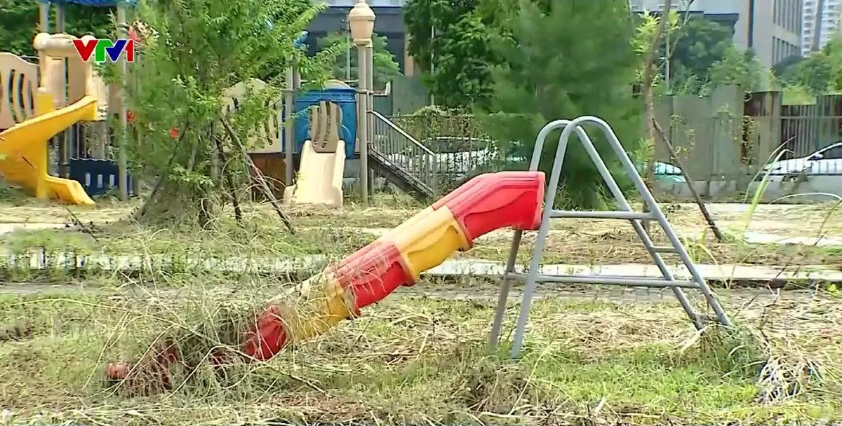 Người d&acirc;n kh&aacute;t kh&ocirc;ng gian xanh - Ảnh 2.