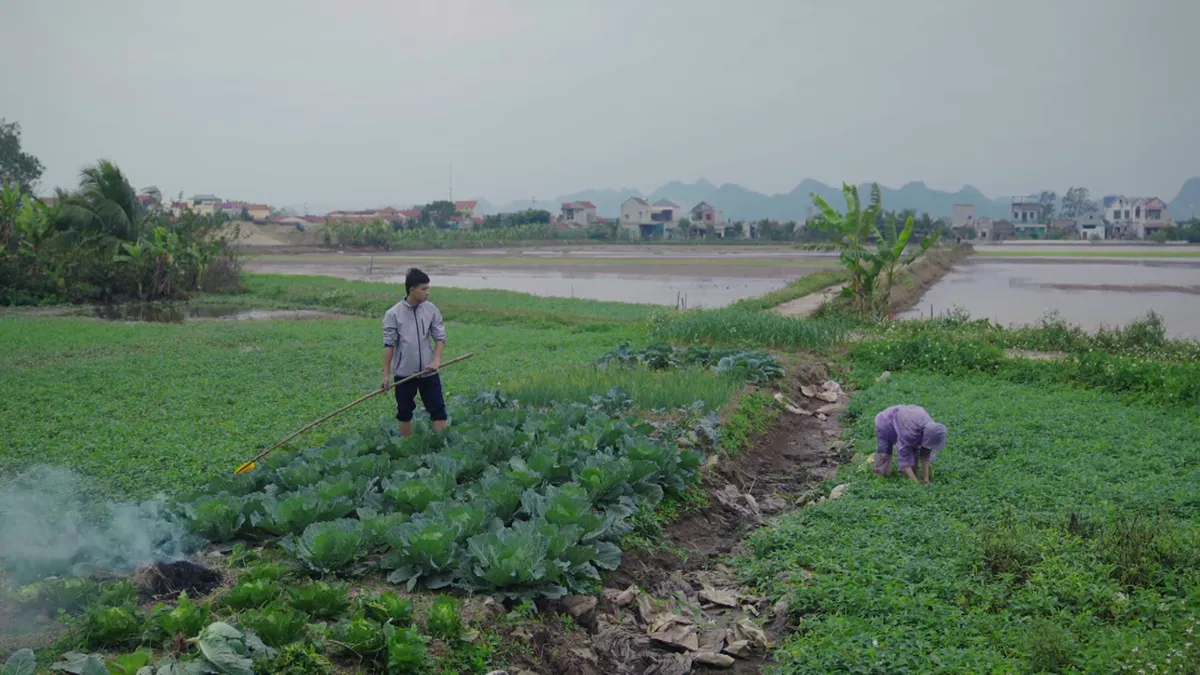 Bước chân vào đời - Tập 4: Minh gây họa lớn, Quân ra tay giúp đỡ chị em Thương?- Ảnh 6. Bước chân vào đời - Tập 4: Minh gây họa lớn, Quân ra tay giúp đỡ chị em Thương?- Ảnh 6.