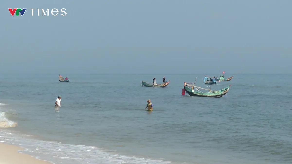 Ruốc dạt bờ đầu năm, ngư d&acirc;n thu tiền triệu mỗi ng&agrave;y - Ảnh 1.