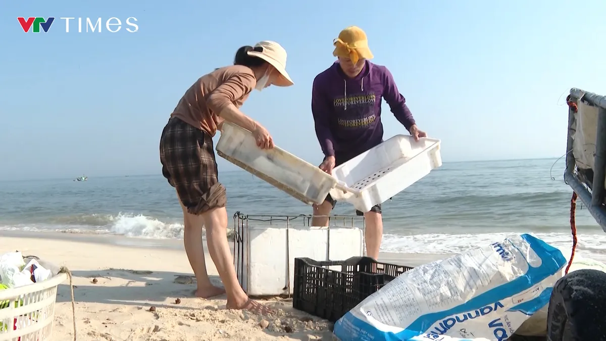 Ruốc dạt bờ đầu năm, ngư d&acirc;n thu tiền triệu mỗi ng&agrave;y - Ảnh 3.