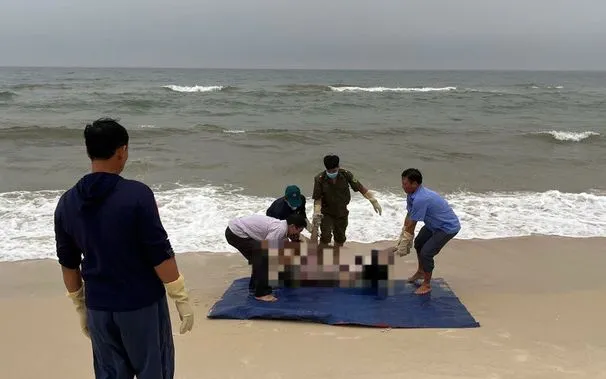 Thi thể nạn nhân được phát hiện trôi dạt tại bờ biển thôn Tân Định, xã Ninh Châu. (Ảnh: TTXVN phát)