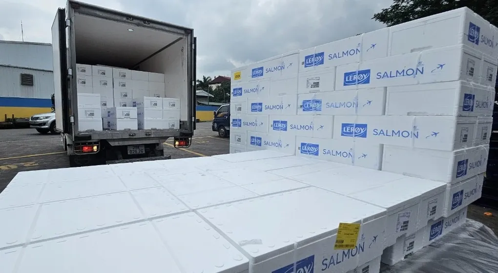Cá hồi Na Uy nguy cơ đứt nguồn cung tại Việt Nam vì hủy chuyến bay qua Trung Đông- Ảnh 1. Cá hồi Na Uy nguy cơ đứt nguồn cung tại Việt Nam vì hủy chuyến bay qua Trung Đông- Ảnh 1.