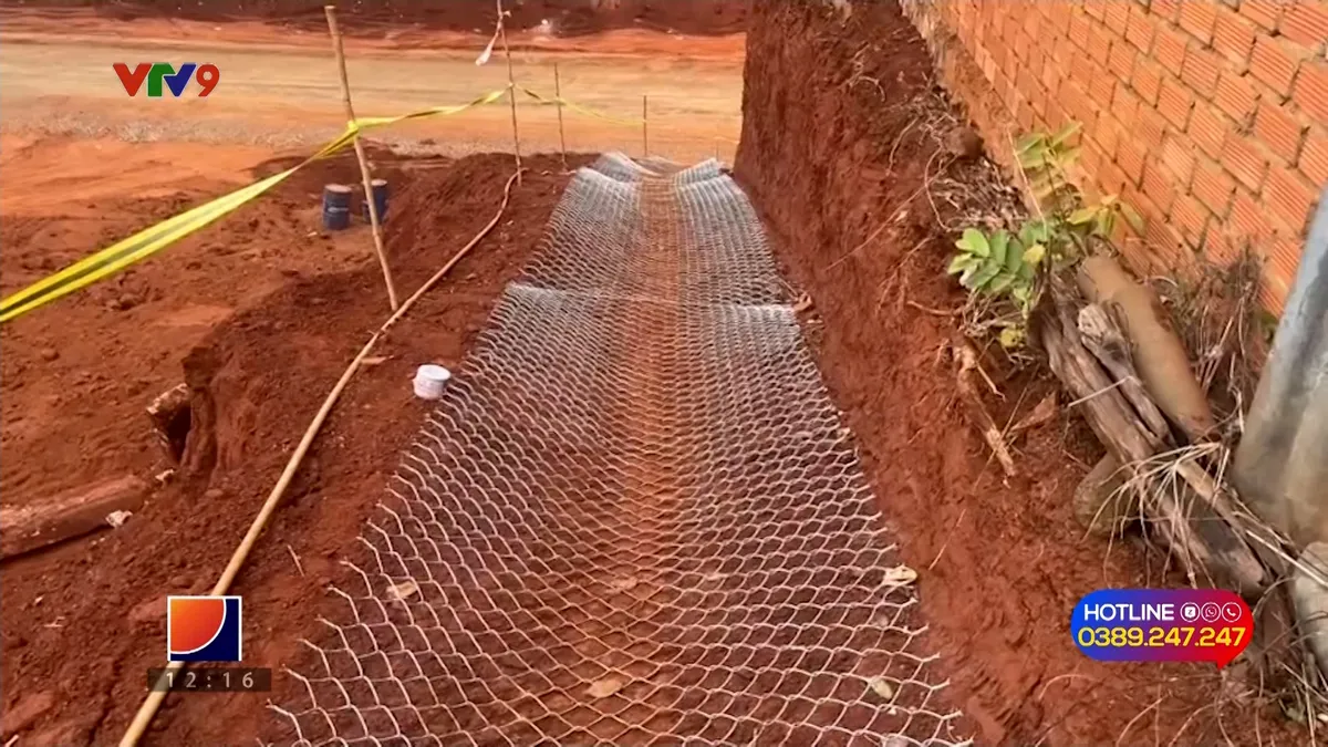 pnhn-0403-3 alov9 3.jpg