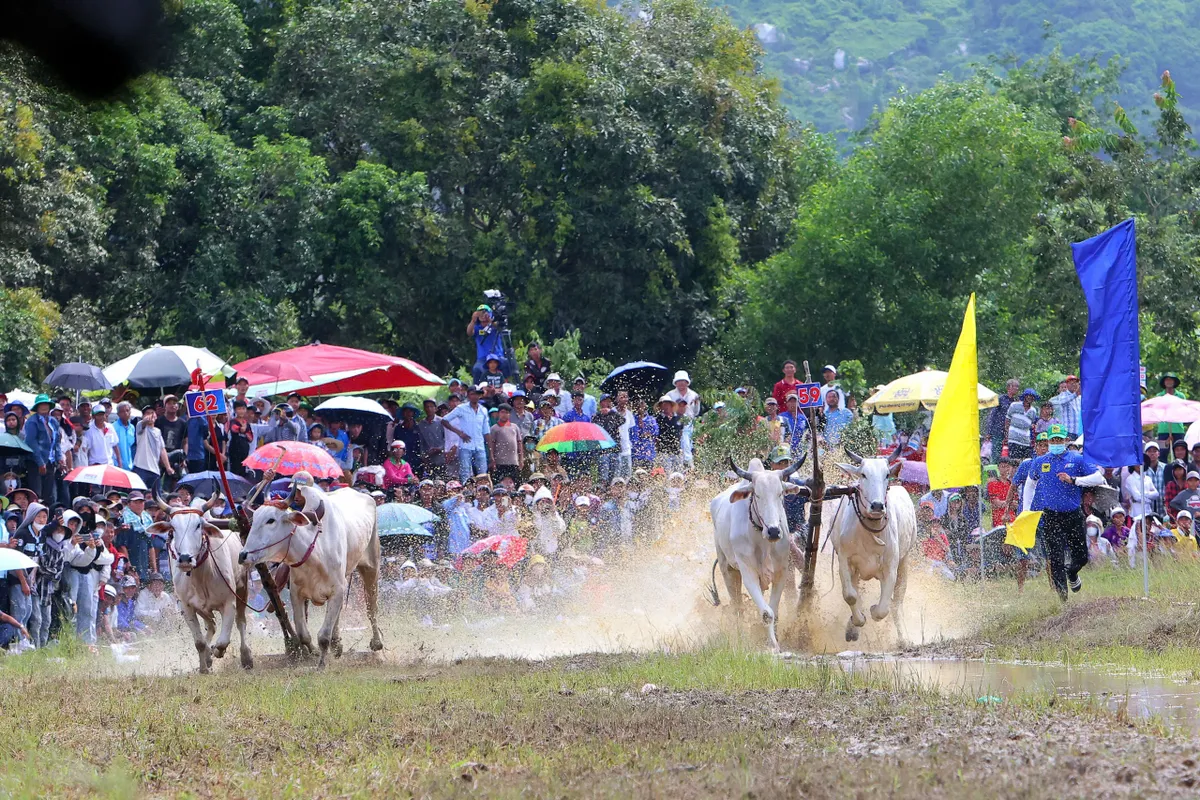 Những lễ hội luyện sức người, trao năng lượng- Ảnh 9.