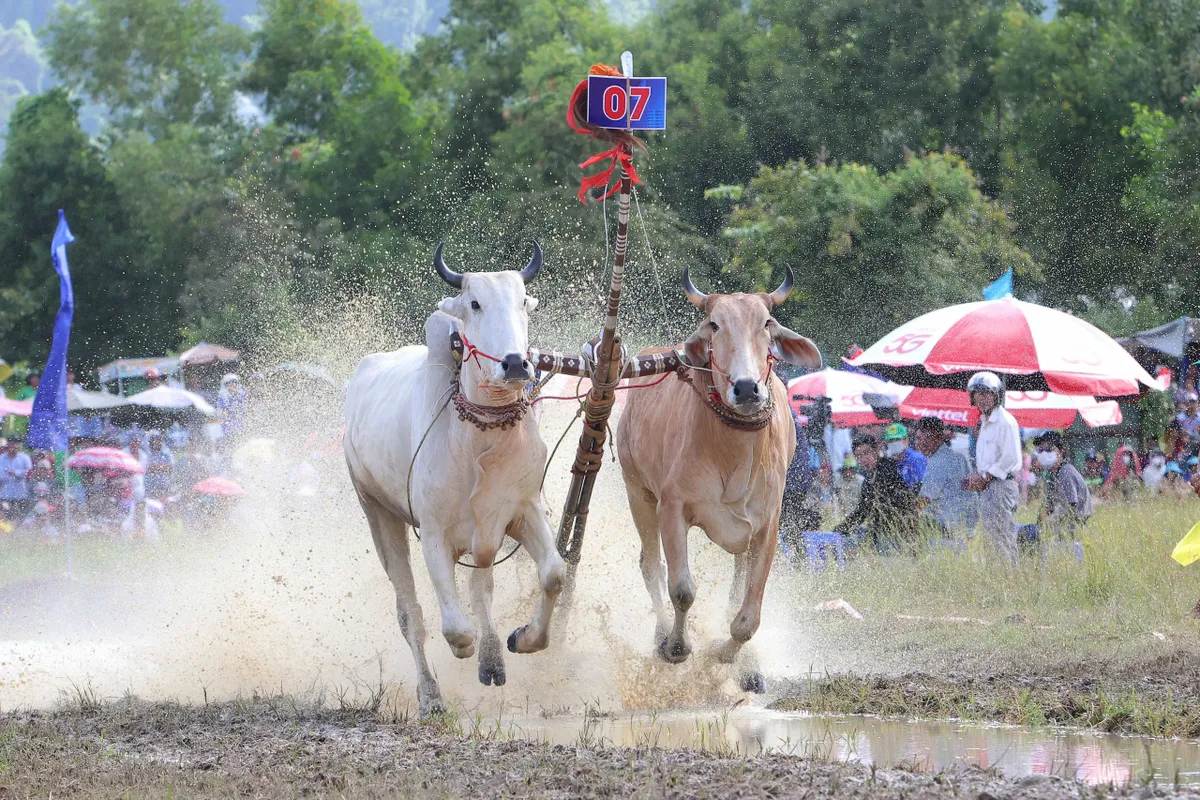 Những lễ hội luyện sức người, trao năng lượng- Ảnh 8.