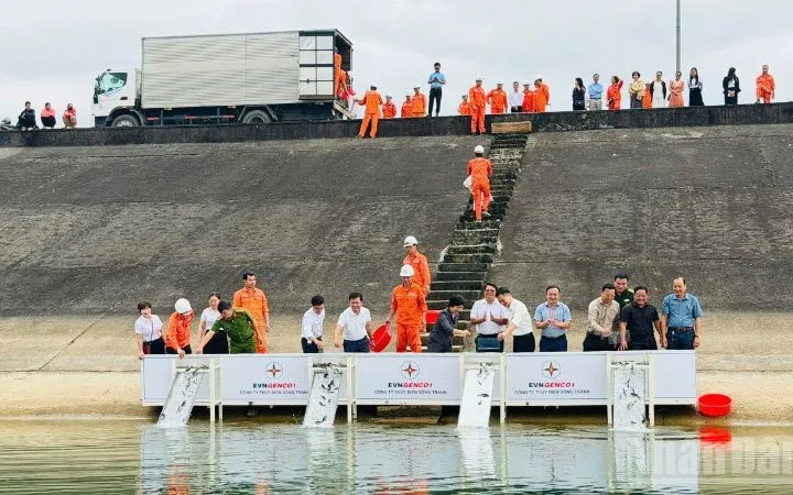 Công ty Thủy điện Sông Tranh đã thả 30.000 con cá giống gồm cá trắm cỏ và cá mè xuống lòng hồ.