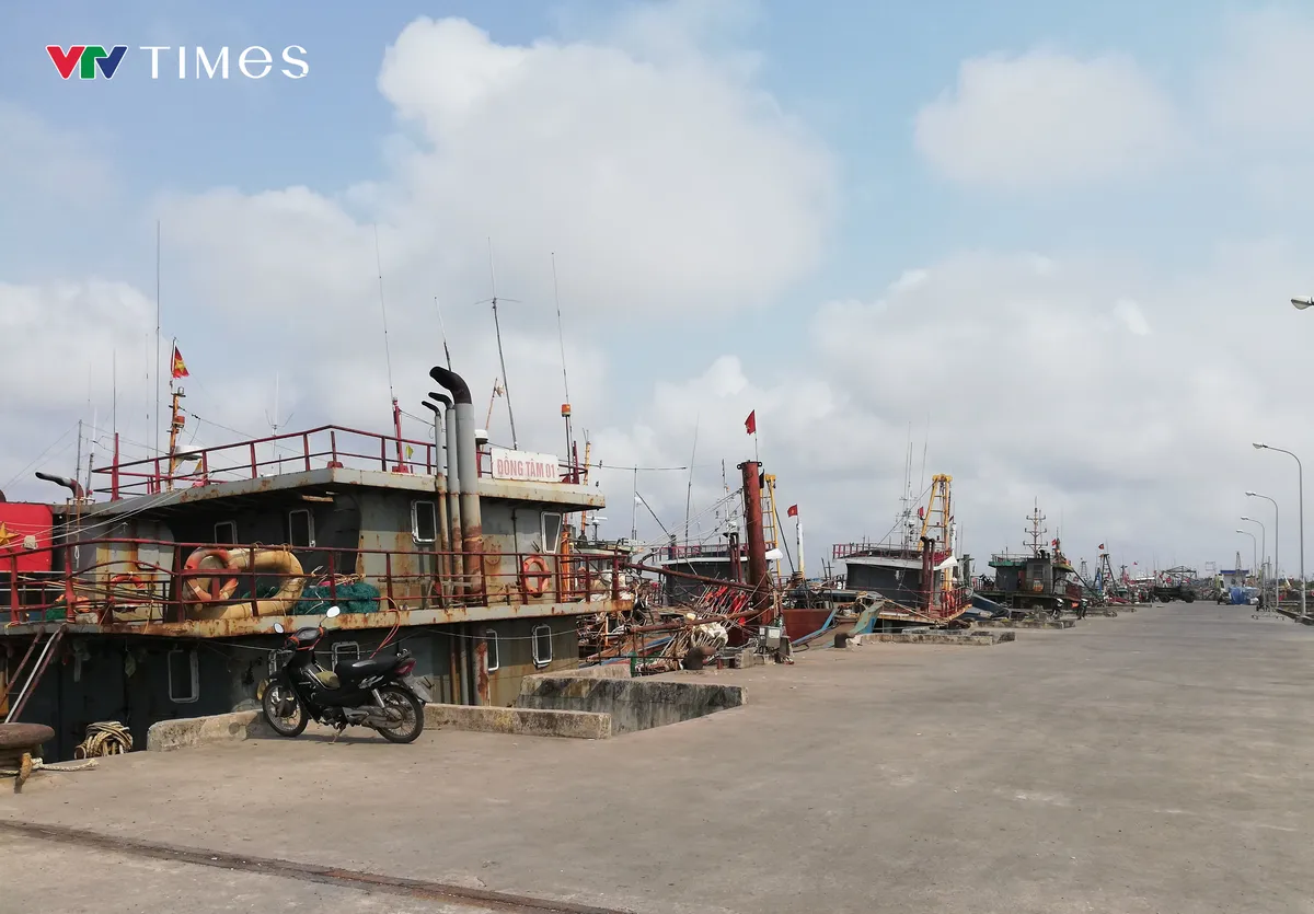 Ninh B&igrave;nh x&acirc;y dựng cảng biển nước s&acirc;u, đẩy mạnh ph&aacute;t triển kinh tế biển - Ảnh 1.