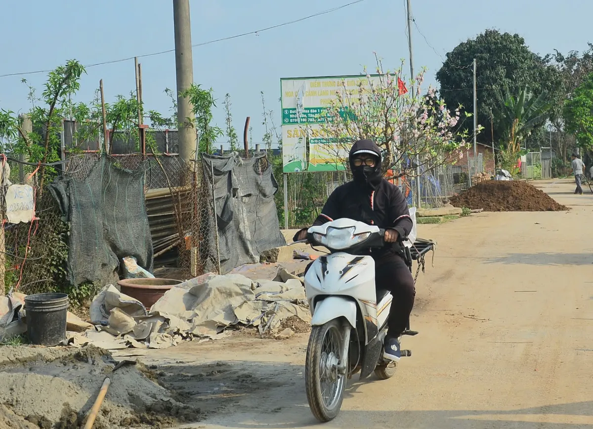 "Hồi sinh" gốc đ&agrave;o sau Tết: Nh&agrave; vườn tất bật v&agrave;o vụ mới - Ảnh 1.