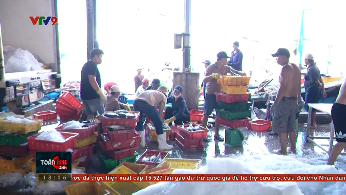 tc24h-0503-2 nh ng k biet ngay bau cu.jpg