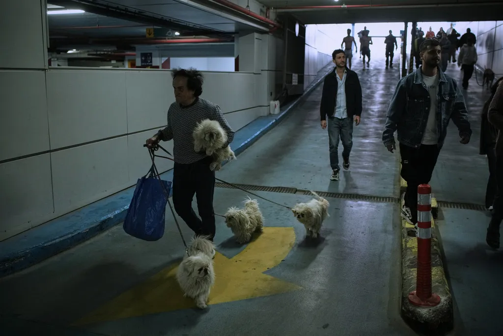 Tổng thống Trump k&ecirc;u gọi Iran &ldquo;đầu h&agrave;ng v&ocirc; điều kiện&rdquo; - Ảnh 2.