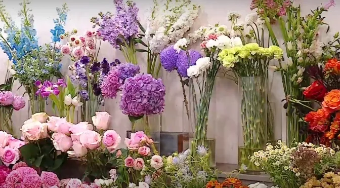 Thị trường hoa dịp 8/3: Người ti&ecirc;u d&ugrave;ng thắt chặt cho ti&ecirc;u  - Ảnh 1.