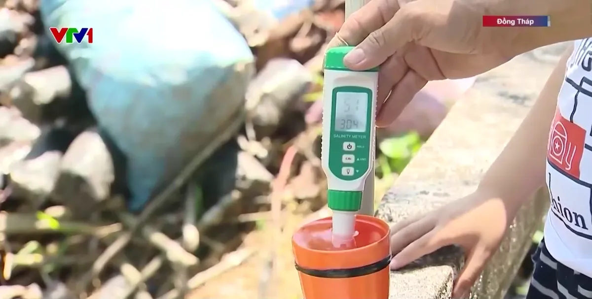 Chủ động ph&ograve;ng, chống x&acirc;m nhập mặn ở Đồng bằng s&ocirc;ng Cửu Long - Ảnh 1.