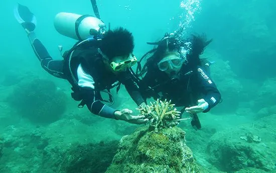  Phương Thảo và Hồng Thúy âm thầm hồi sinh rạn san hô tại Cù Lao Chàm.