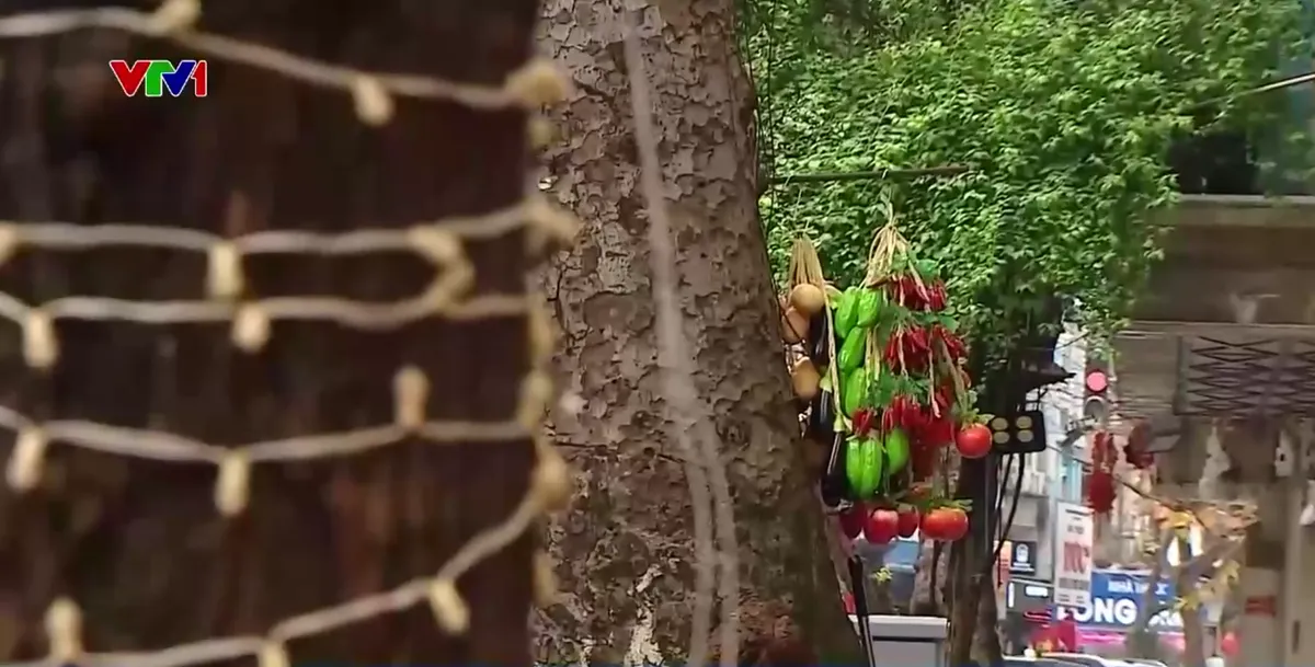 H&agrave; Nội đề xuất cấm đ&oacute;ng đinh, treo quảng c&aacute;o, giăng đ&egrave;n l&ecirc;n c&acirc;y xanh - Ảnh 2.