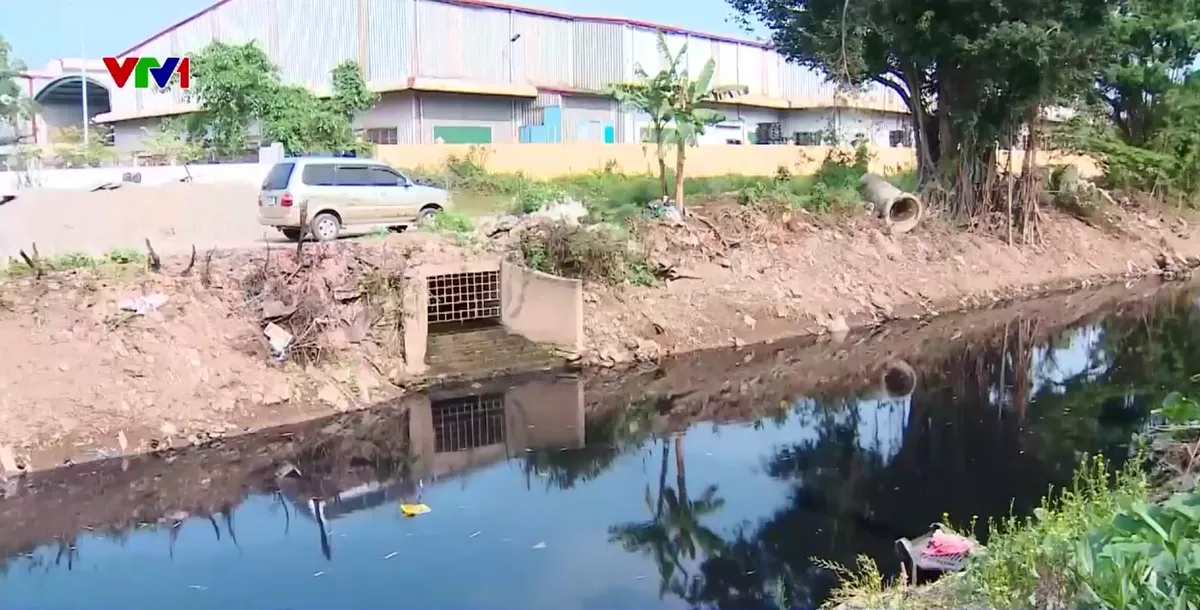 H&agrave; Nội l&ecirc;n phương &aacute;n &ldquo;hồi sinh&rdquo; s&ocirc;ng Cầu B&acirc;y - Ảnh 4.