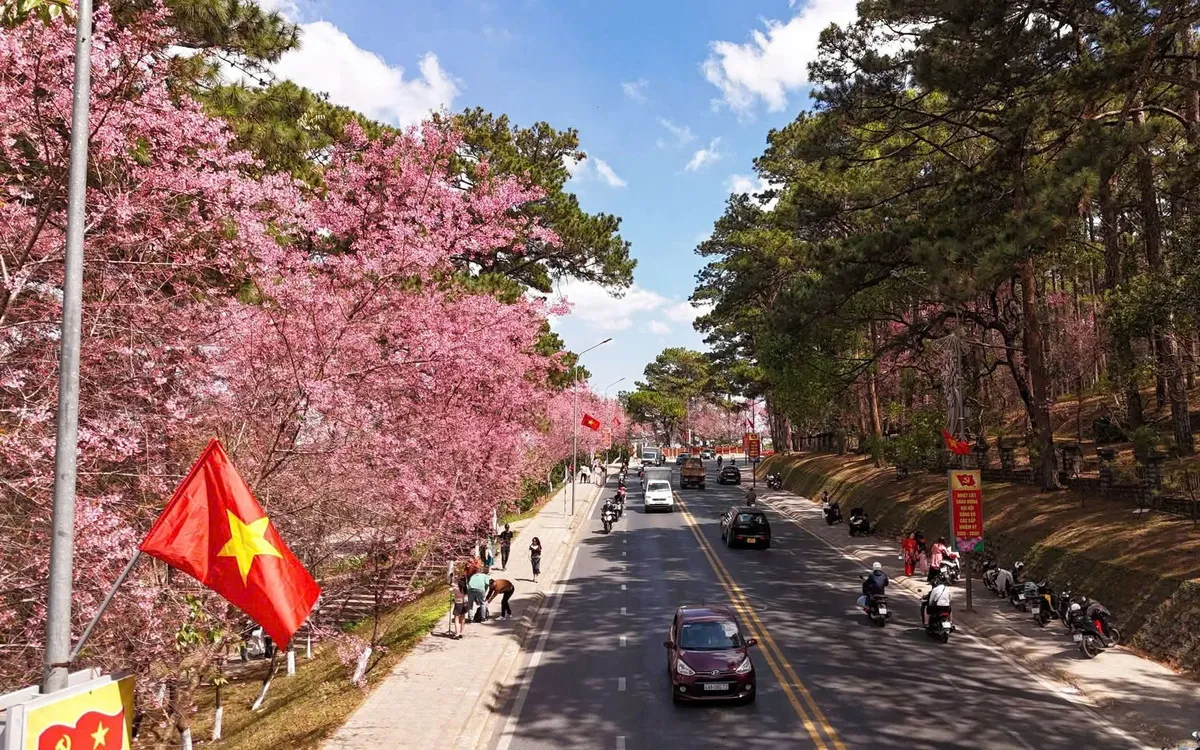 Tỉnh Lâm Đồng chủ động chuyển hướng khai thác mạnh thị trường khách đường bộ và khách nội địa trước bối cảnh Cảng hàng không quốc tế Liên Khương tạm ngưng hoạt động để nâng cấp trong 6 tháng.