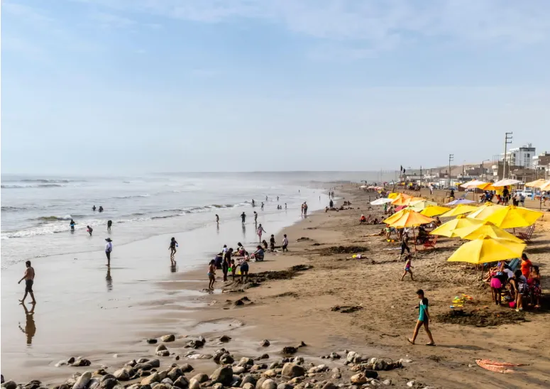 Đánh bom hộp đêm ở Peru khiến 33 người bị thương - Ảnh 1.