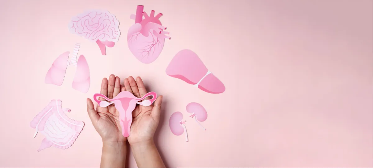 Chăm s&oacute;c phụ nữ để cả gia đ&igrave;nh đều khỏe mạnh hơn- Ảnh 1.