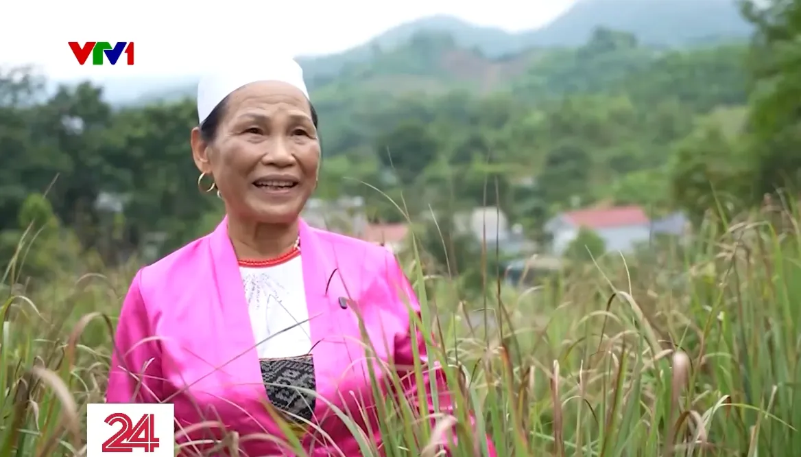 Những bờ vai th&eacute;p mang d&aacute;ng h&igrave;nh phụ nữ - Ảnh 2.