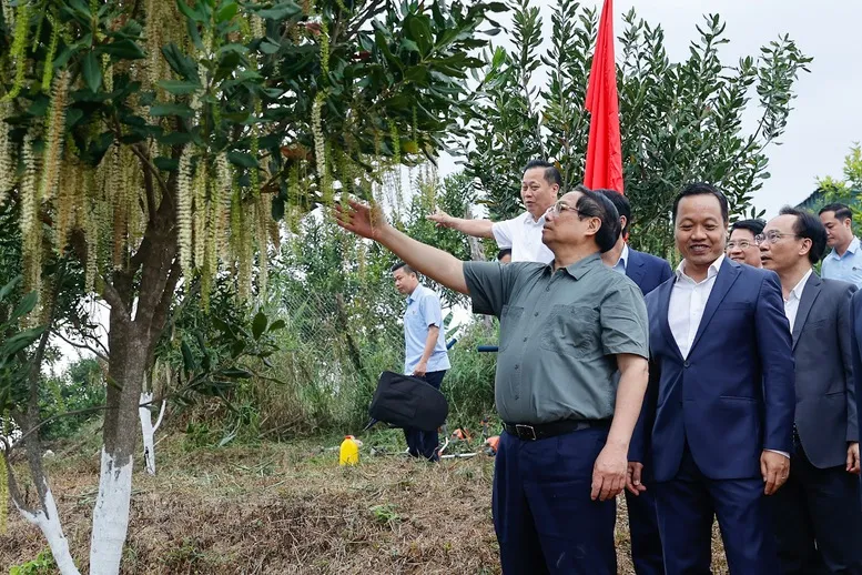 Thủ tướng: Điện Bi&ecirc;n cần nỗ lực hơn nữa để biến n&uacute;i rừng T&acirc;y Bắc tr&ugrave;ng điệp th&agrave;nh của cải vật chất - Ảnh 2.