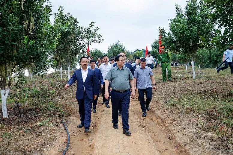 Thủ tướng: Điện Bi&ecirc;n cần nỗ lực hơn nữa để biến n&uacute;i rừng T&acirc;y Bắc tr&ugrave;ng điệp th&agrave;nh của cải vật chất - Ảnh 1.