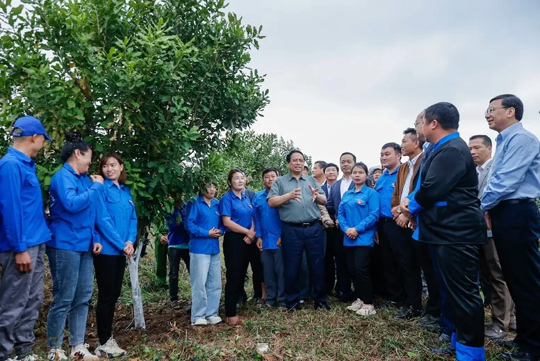 Thủ tướng: Điện Bi&ecirc;n cần nỗ lực hơn nữa để biến n&uacute;i rừng T&acirc;y Bắc tr&ugrave;ng điệp th&agrave;nh của cải vật chất - Ảnh 3.