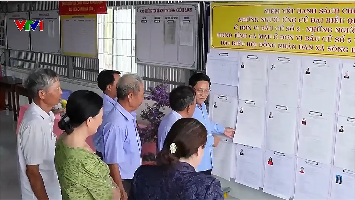 C&agrave; Mau đảm bảo quyền bầu cử cho ngư d&acirc;n tr&ecirc;n biển - Ảnh 1.