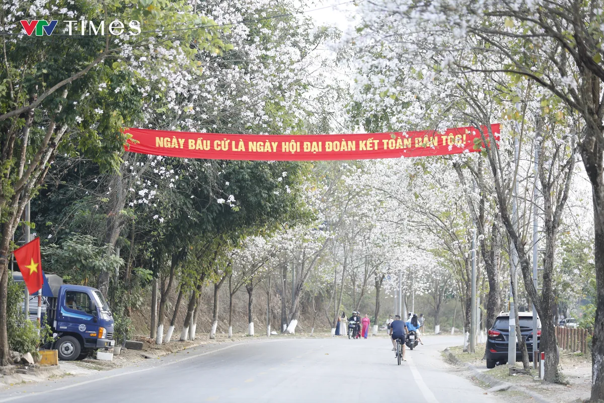 Điện Bi&ecirc;n rực rỡ cờ hoa ch&agrave;o mừng "Ng&agrave;y hội non s&ocirc;ng" - Ảnh 7.