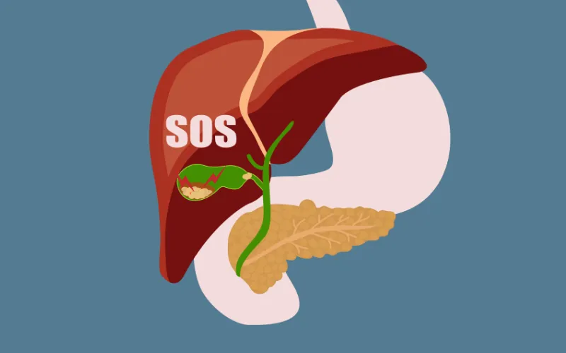 Hình minh họa: Canva