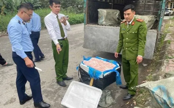 Lực lượng chức năng kiểm tra, thu giữ tang vật