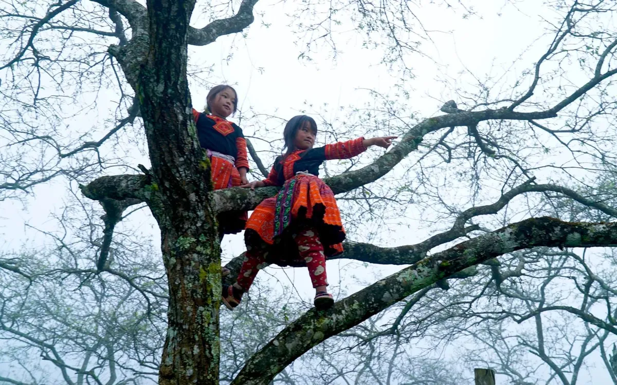"Biển mây" trắng muốt giữa lòng cao nguyên