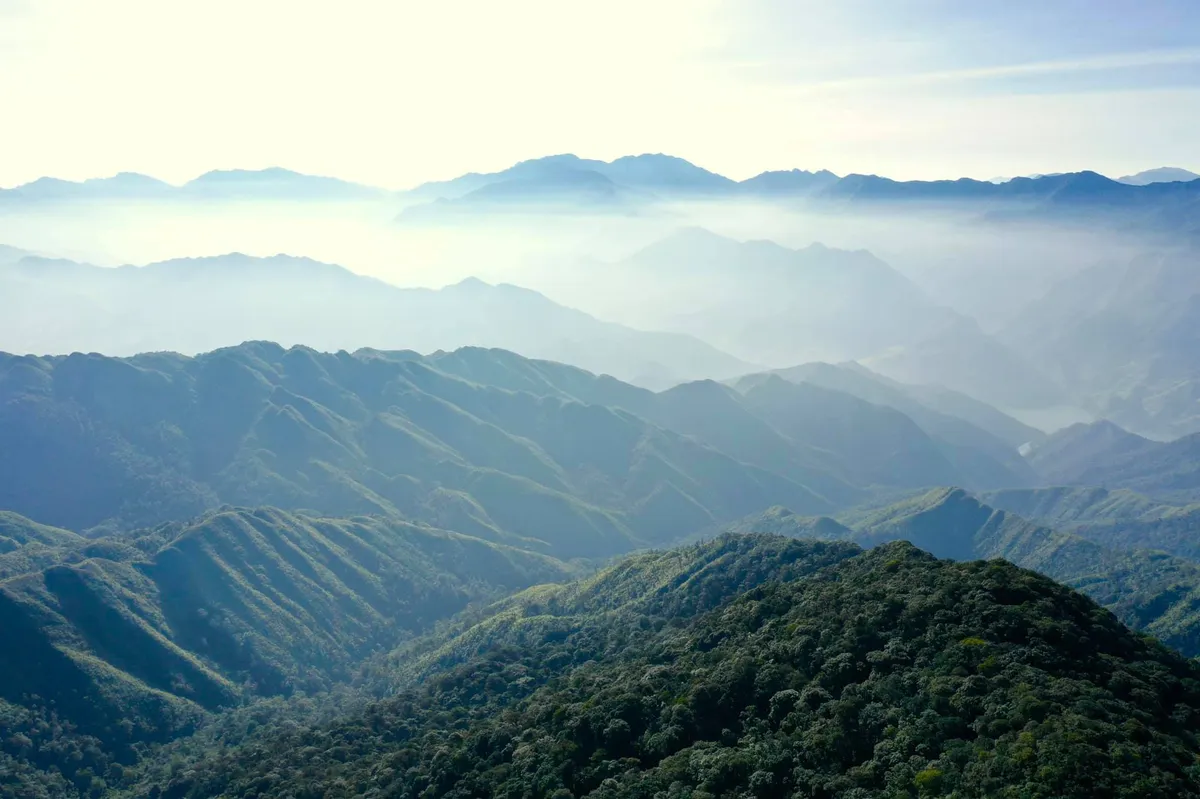 Những "linh hồn" nhỏ giữa đại ng&agrave;n: Vẻ đẹp thầm lặng của c&acirc;y rừng M&ugrave; Cang Chải- Ảnh 6.