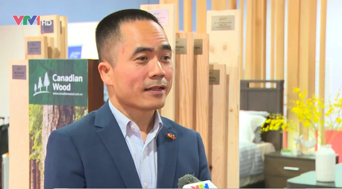 Ngành gỗ tìm dư địa tăng trưởng từ thị trường toàn cầu - Ảnh 3.