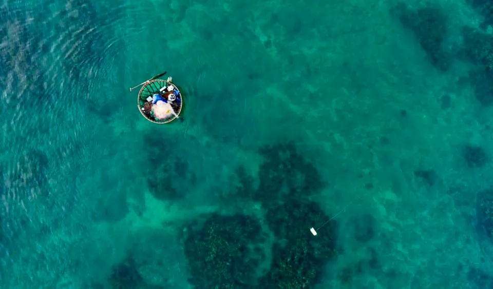 Tam Tiến: Giữa d&ograve;ng Trường Giang v&agrave; nhịp ch&egrave;o xứ Quảng- Ảnh 1.