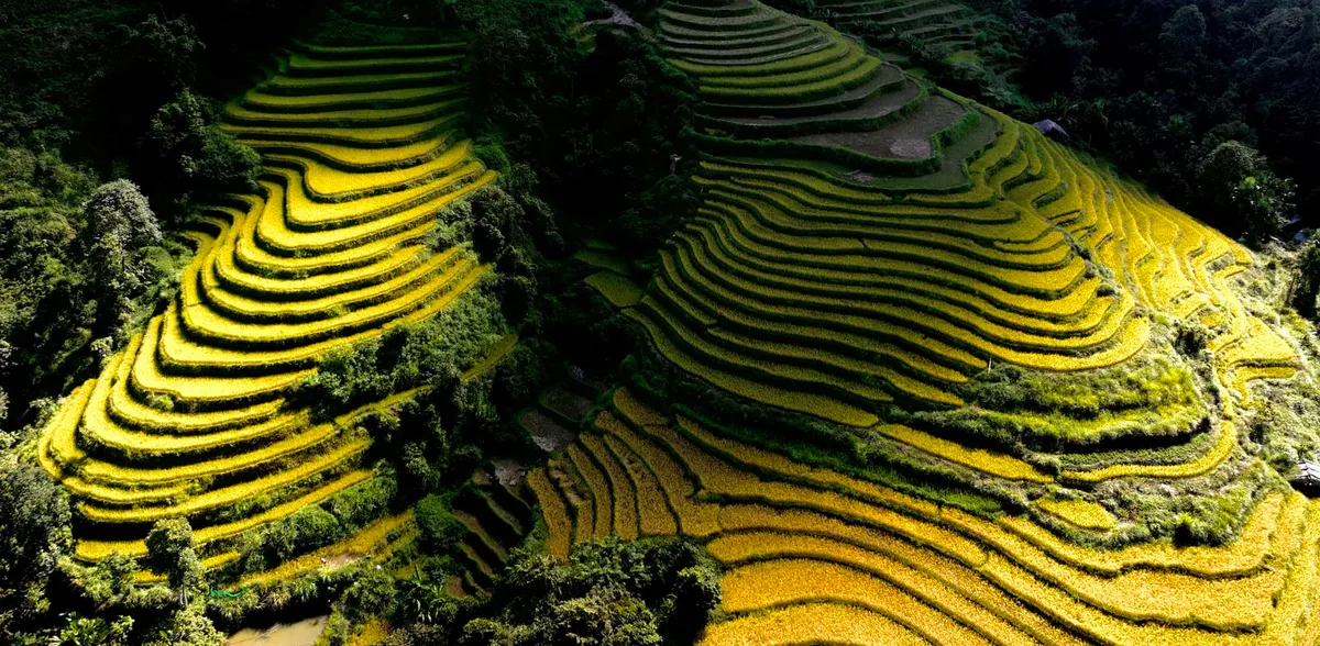 L&ugrave;ng Vải: Nấc thang v&agrave;ng bắc l&ecirc;n trời cao- Ảnh 1.