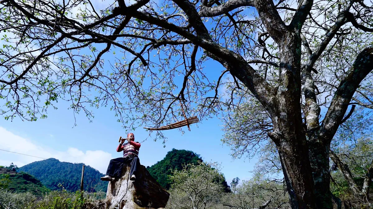 Xu&acirc;n T&acirc;n Lập: Bản t&igrave;nh ca trắng trong thung lũng m&acirc;y- Ảnh 7.