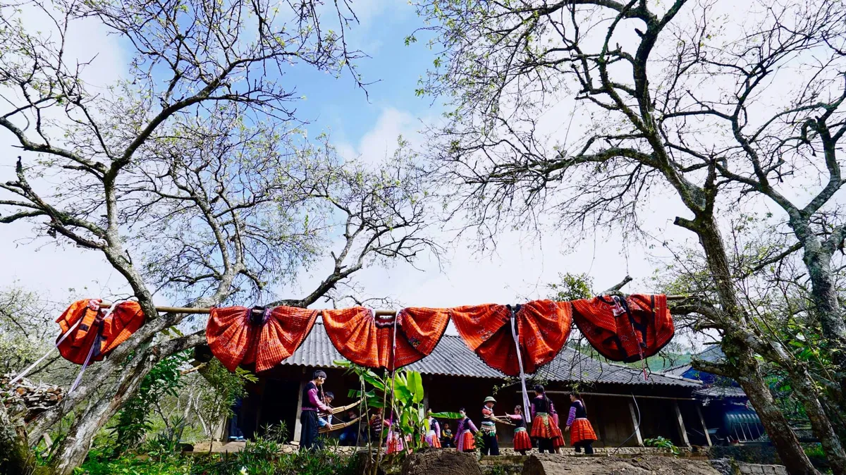 Xu&acirc;n T&acirc;n Lập: Bản t&igrave;nh ca trắng trong thung lũng m&acirc;y- Ảnh 5.