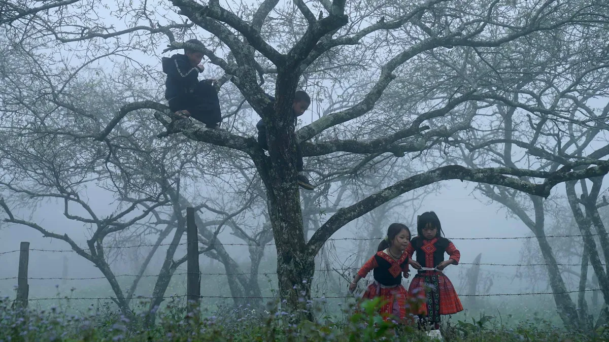 Xu&acirc;n T&acirc;n Lập: Bản t&igrave;nh ca trắng trong thung lũng m&acirc;y- Ảnh 4.