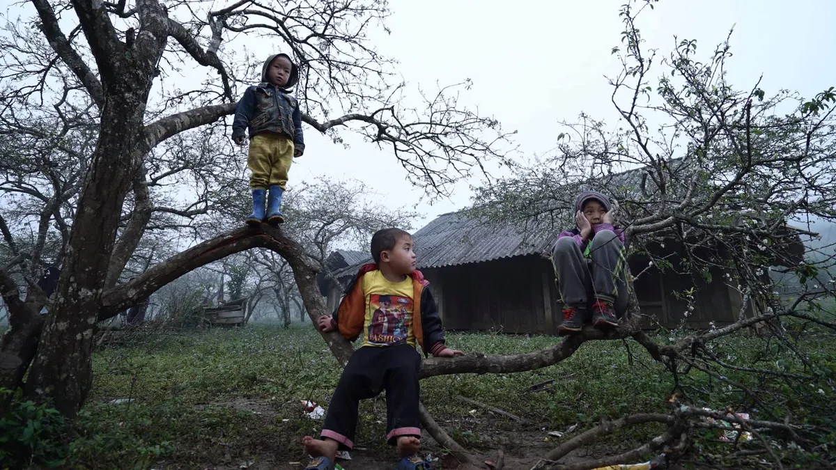 Xu&acirc;n T&acirc;n Lập: Bản t&igrave;nh ca trắng trong thung lũng m&acirc;y- Ảnh 1.