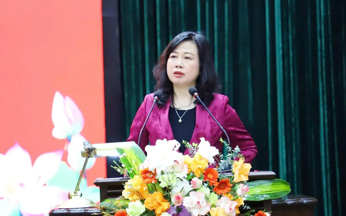 Bộ trưởng Đ&agrave;o Hồng Lan: Việt Nam c&oacute; thể bước v&agrave;o giai đoạn d&acirc;n số gi&agrave; từ năm 2036&ndash;2038- Ảnh 1.