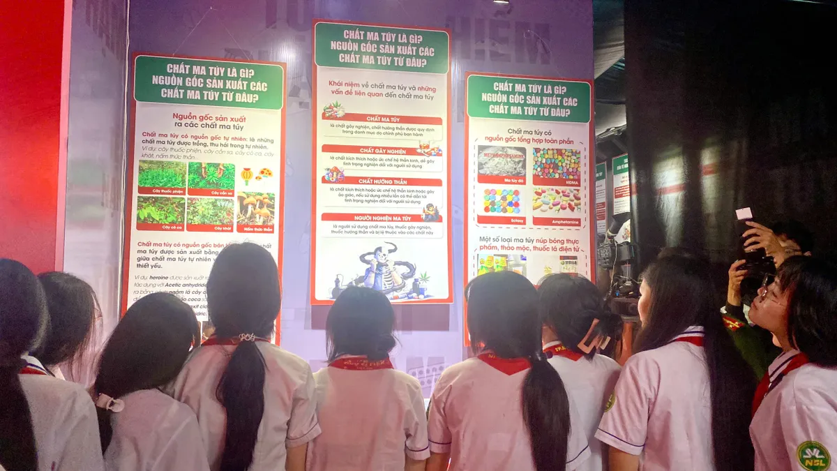 TP Hồ Ch&iacute; Minh: Đưa m&ocirc; h&igrave;nh ph&ograve;ng chống ma t&uacute;y v&agrave;o trường Tiểu học- Ảnh 1.