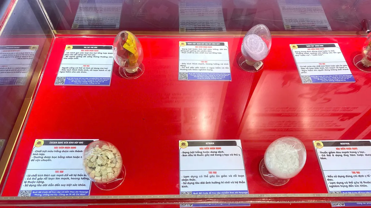 TP Hồ Ch&iacute; Minh: Đưa m&ocirc; h&igrave;nh ph&ograve;ng chống ma t&uacute;y v&agrave;o trường Tiểu học- Ảnh 3.