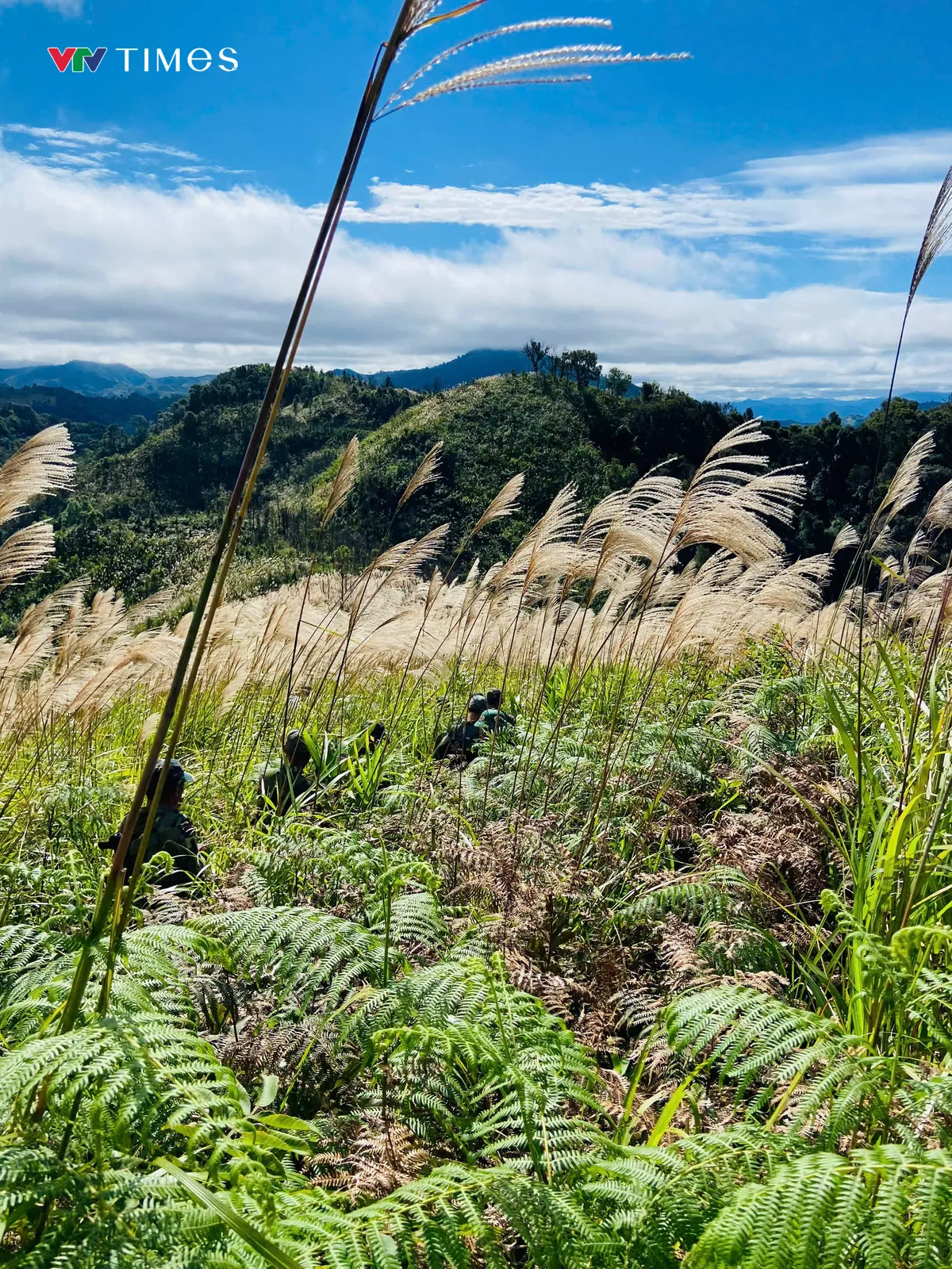 Giữ vững b&igrave;nh y&ecirc;n nơi bi&ecirc;n cương trước ng&agrave;y hội bầu cử - Ảnh 6.