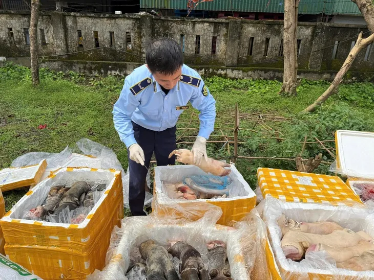 Ph&aacute;t hiện xe tải chở hơn 2.600 kg nội tạng động vật kh&ocirc;ng r&otilde; nguồn gốc - Ảnh 2.