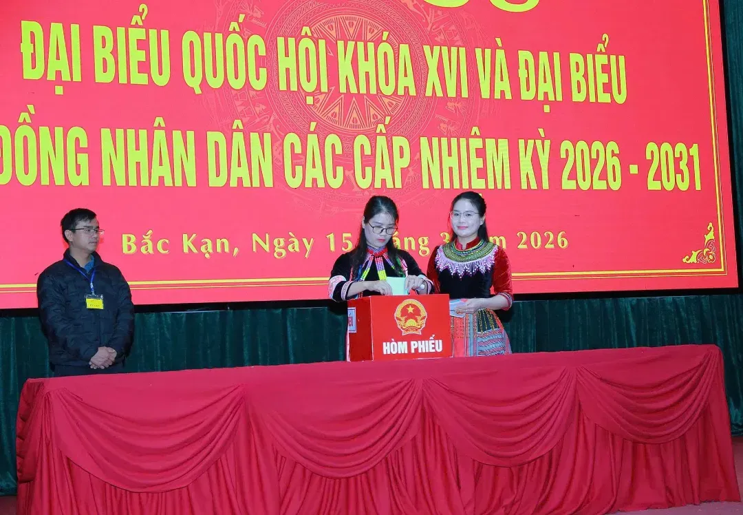 Việc tham gia chứng kiến kiểm phiếu v&agrave; khiếu nại về kiểm phiếu được thực hiện thế n&agrave;o? - Ảnh 1.