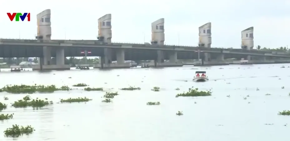 Tăng khả năng giữ ngọt, kiểm so&aacute;t mặn nhờ c&aacute;c c&ocirc;ng tr&igrave;nh thủy lợi trọng điểm - Ảnh 2.
