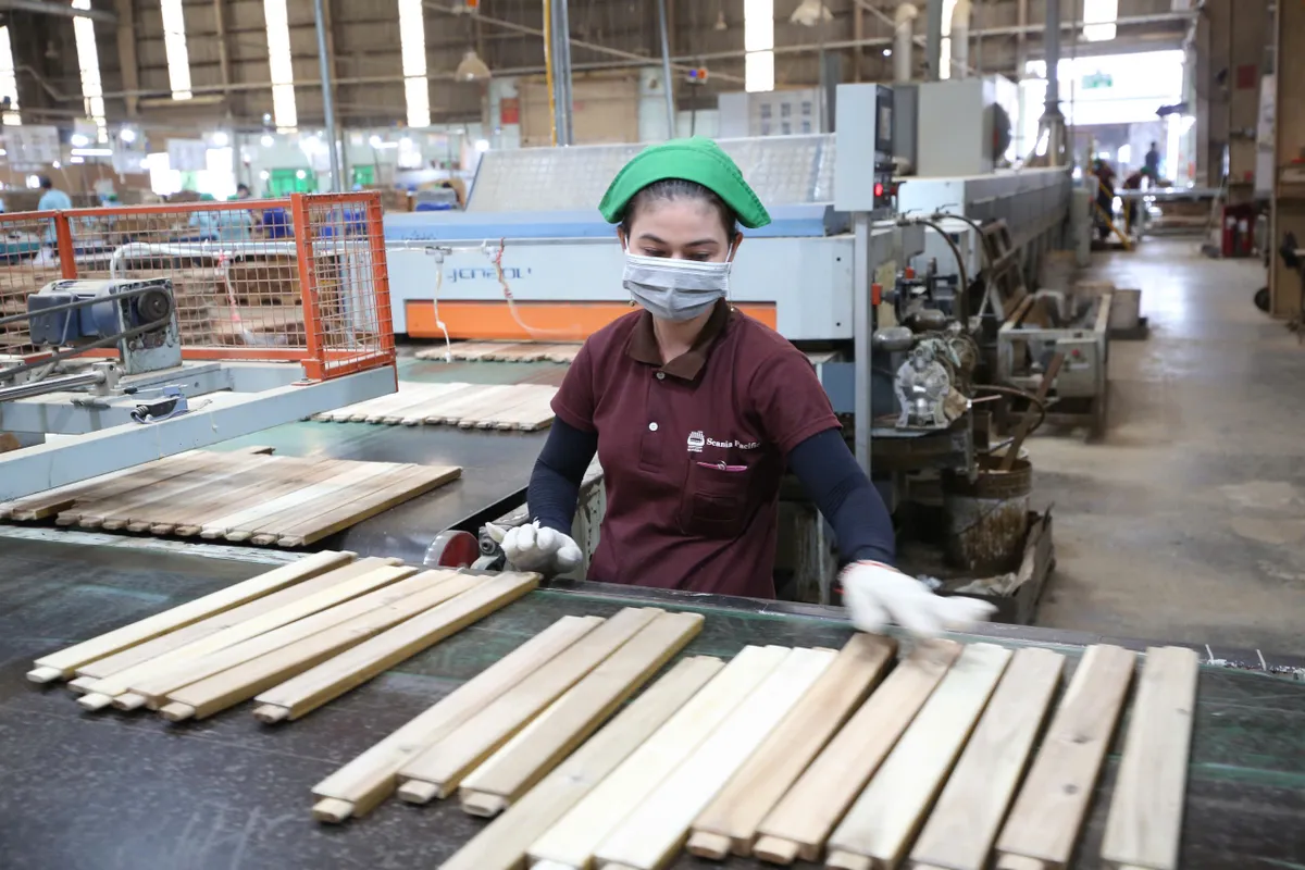 TP Hồ Ch&iacute; Minh: 22% doanh nghiệp chế xuất điều chỉnh sản xuất nhằm giảm t&aacute;c động chi ph&iacute; nhi&ecirc;n liệu - Ảnh 1.